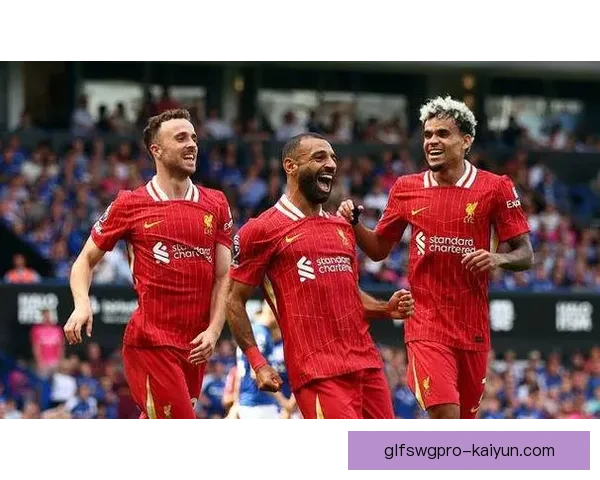 布莱顿强势夏季开局，展现球队实力与潜力值得关注